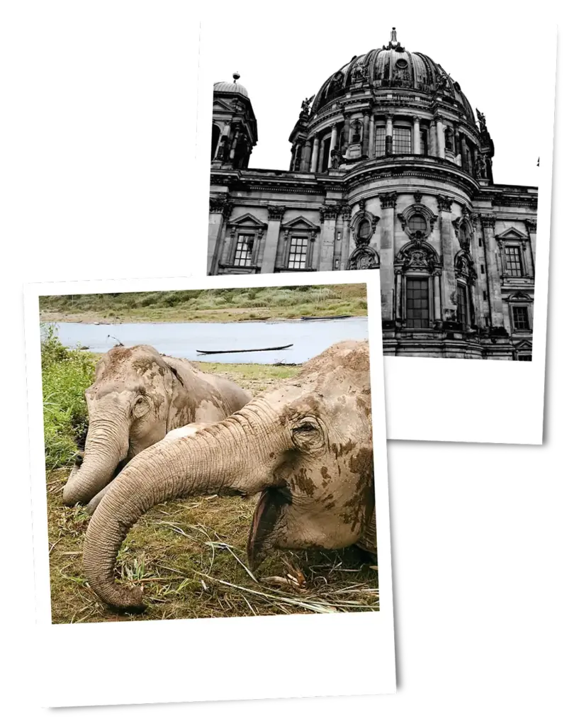 Snapshots of tourist destinations