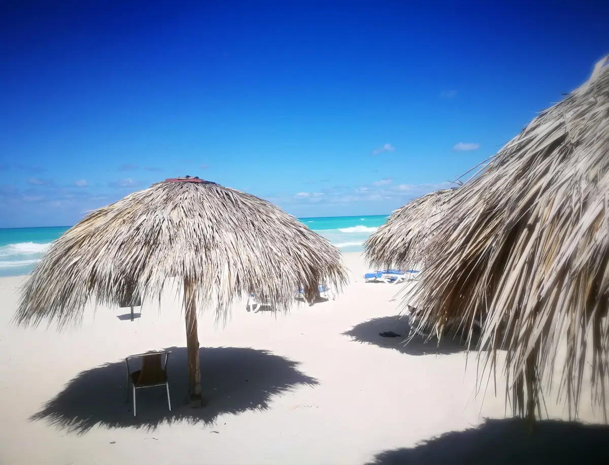 A beach scene, with bright blue sky and thatched shade umbrellas