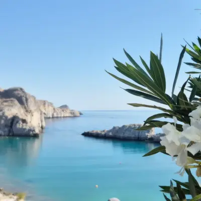 View of coastal are with flowering tree in foreground
