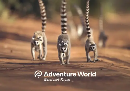 Adventure World – Africa