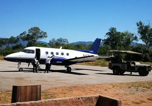 Flight-seeing