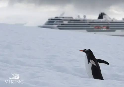 Viking Antarctica Cruise